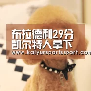 开云体育稳定访问